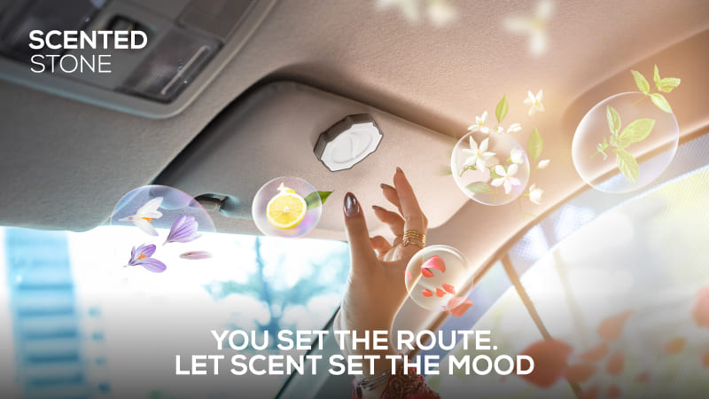 Trapo Scented Stone (Refill)