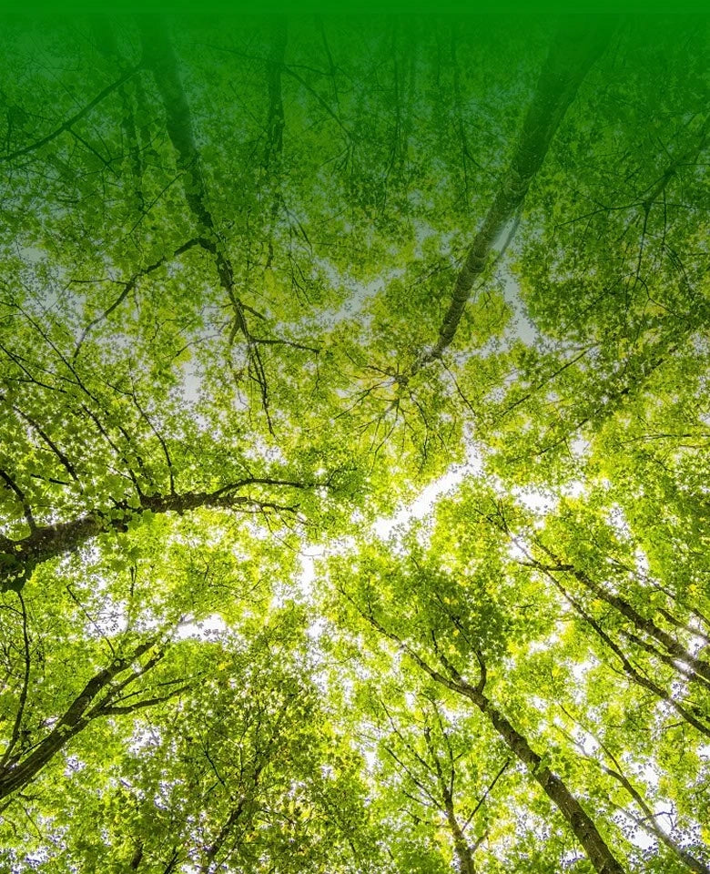 TRAPO Sustainable